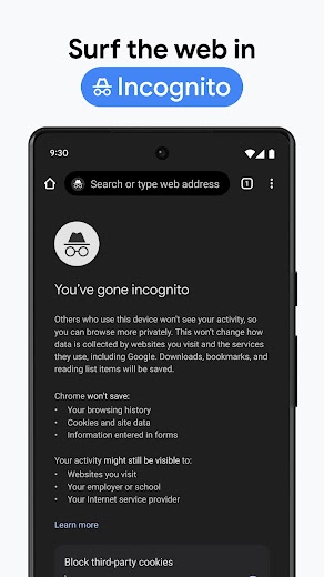 Google Chrome скриншот